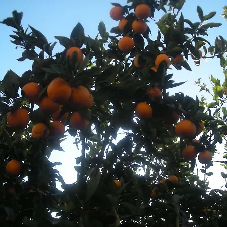 라르코발레노 B&B 소렌토
