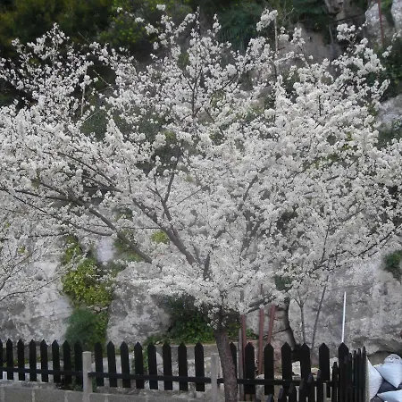 拉科博雷诺住宿加早餐旅馆 住宿加早餐酒店 4*