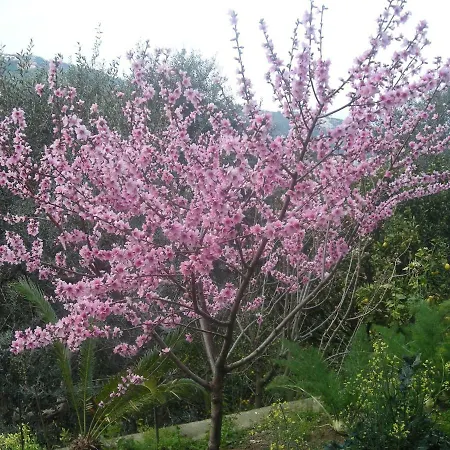 라르코발레노 B&B 소렌토
