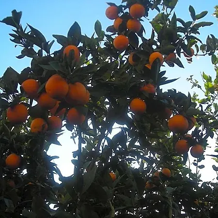 Alojamento de Acomodação e Pequeno-almoço L'arcobaleno Sorrento