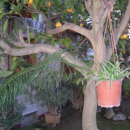 L'arcobaleno فندق مبيت وإفطار سورينتو