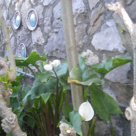 Bed and breakfast L'arcobaleno 4*