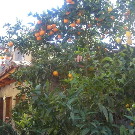 L'arcobaleno Bed & Breakfast Sorrento