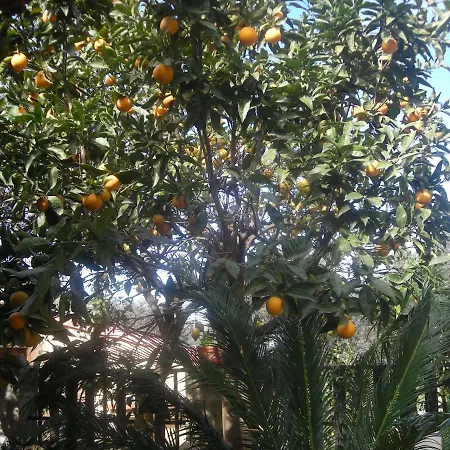 L'arcobaleno Bed & Breakfast Sorrento