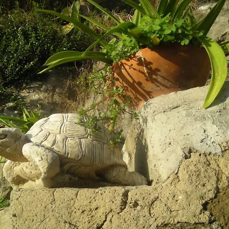 Bed and breakfast L'arcobaleno