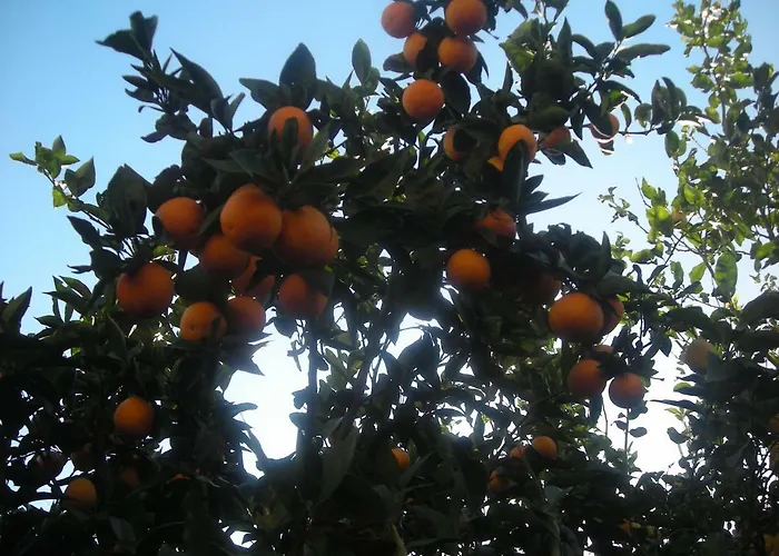 L'arcobaleno Bed & Breakfast Sorrento