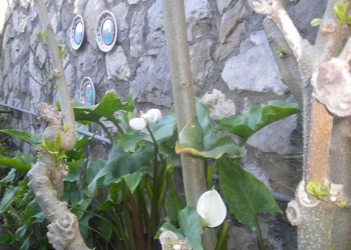 Bed & Breakfast L'arcobaleno 4*