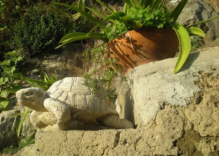 Bed & Breakfast L'arcobaleno
