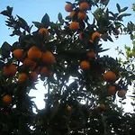 L'arcobaleno Alojamento de Acomodação e Pequeno-almoço Sorrento