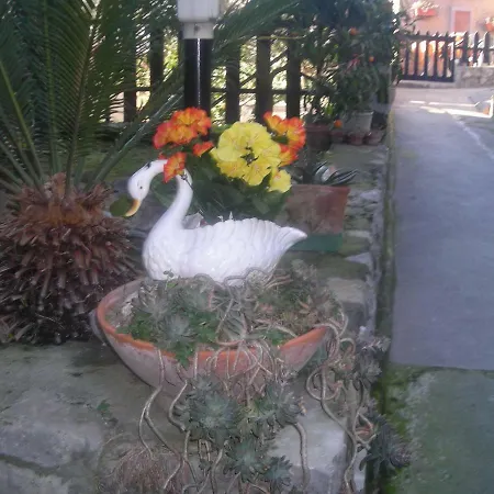 Frühstückspension L'arcobaleno 4*